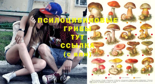прущая мука Осинники